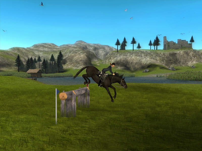 My Riding Stables: Life with horses - screenshot 14