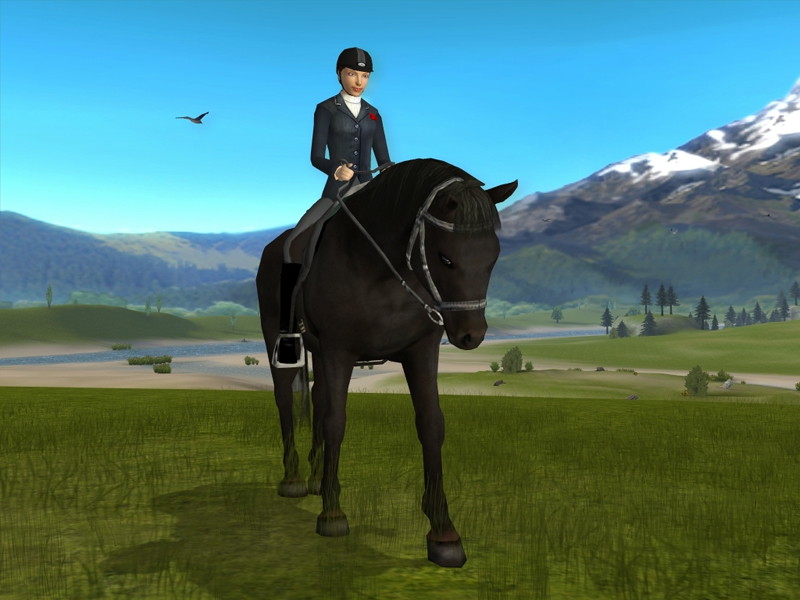 My Riding Stables: Life with horses - screenshot 13
