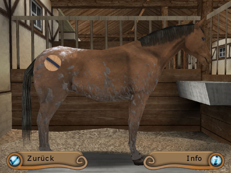 My Riding Stables: Life with horses - screenshot 9