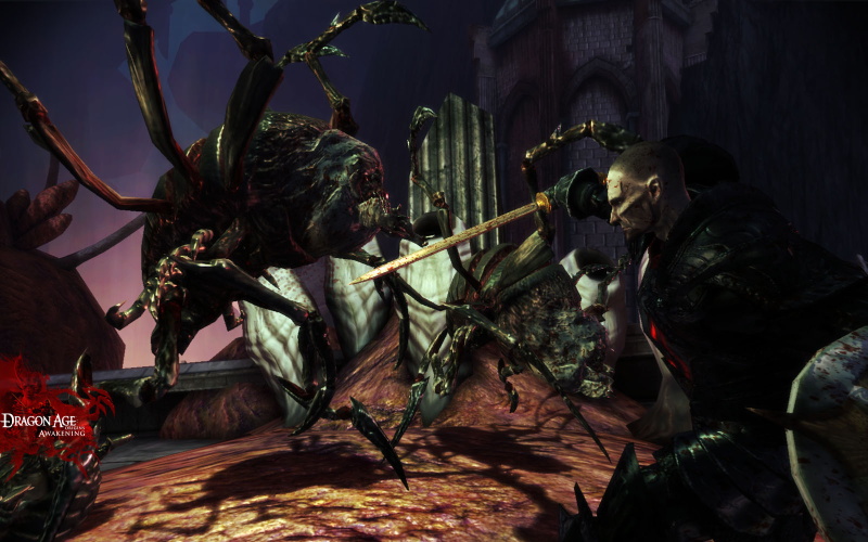 Dragon Age: Origins - Awakening - screenshot 48