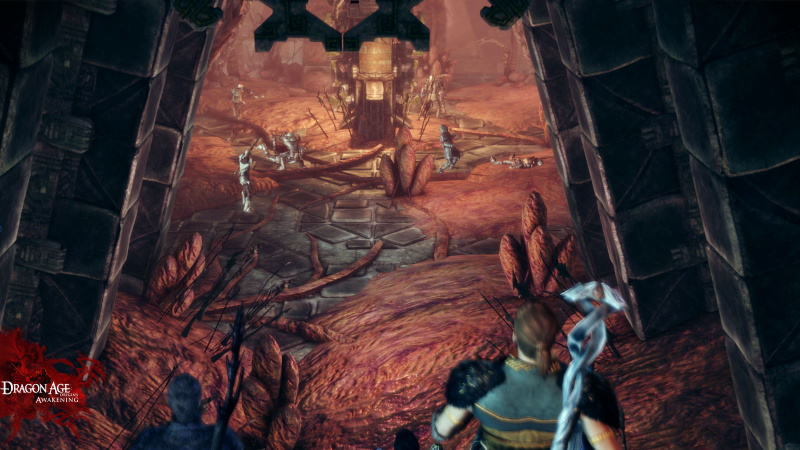 Dragon Age: Origins - Awakening - screenshot 44
