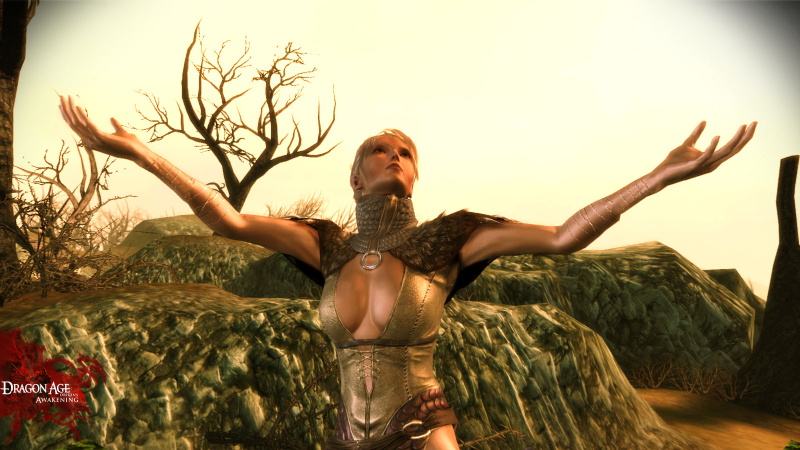 Dragon Age: Origins - Awakening - screenshot 8
