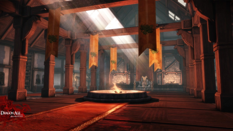 Dragon Age: Origins - Awakening - screenshot 4