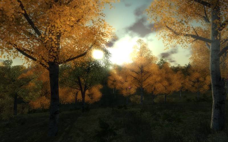 3D Hunting 2010 - screenshot 1