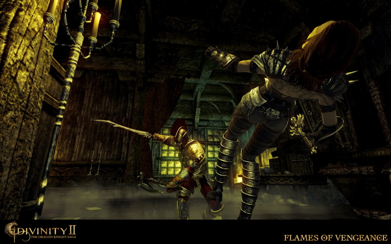 Divinity 2: The Dragon Knight Saga - screenshot 22