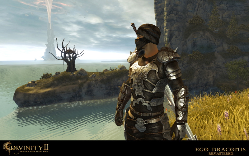 Divinity 2: The Dragon Knight Saga - screenshot 21