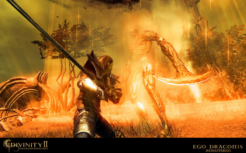Divinity 2: The Dragon Knight Saga - screenshot 20
