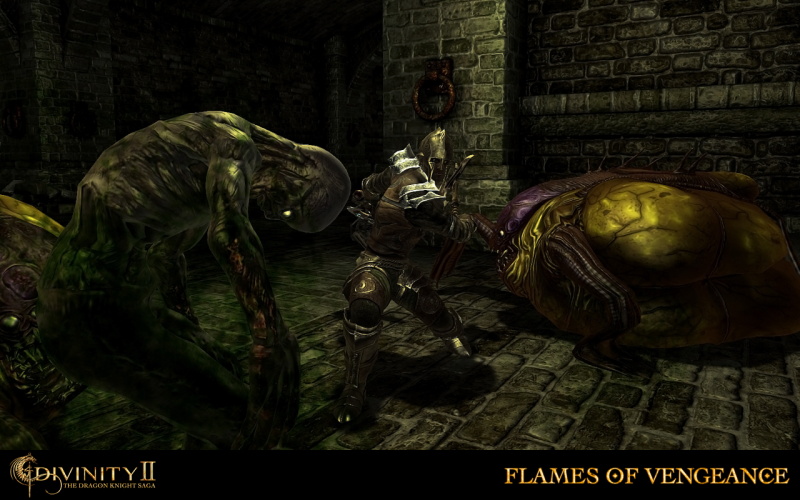 Divinity 2: The Dragon Knight Saga - screenshot 19