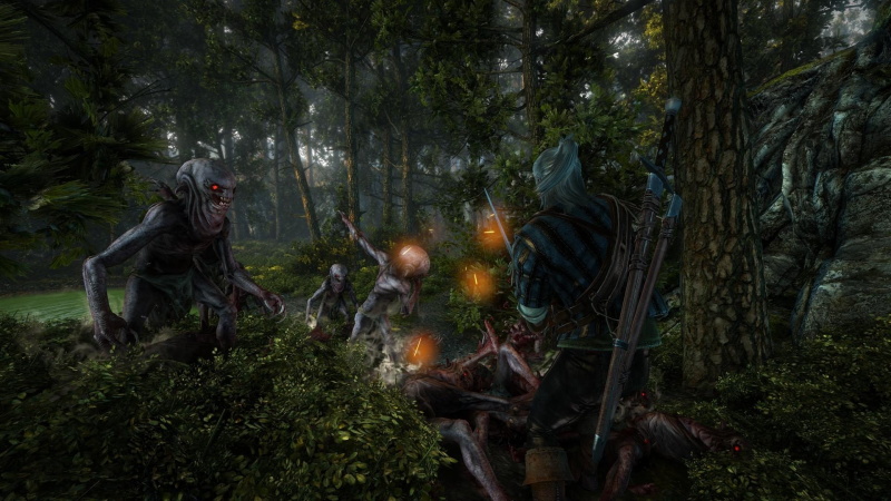 The Witcher 2: Assassins of Kings - screenshot 22
