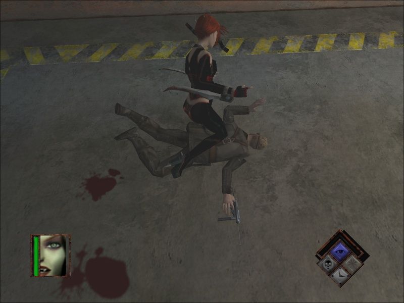 BloodRayne - screenshot 11
