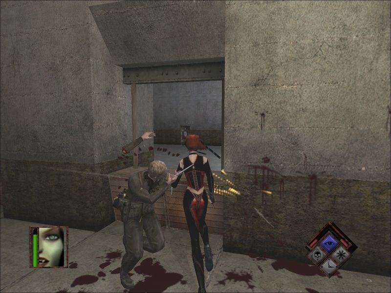 BloodRayne - screenshot 9