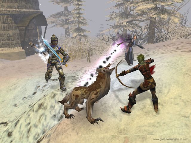 Dungeon Siege II - screenshot 2