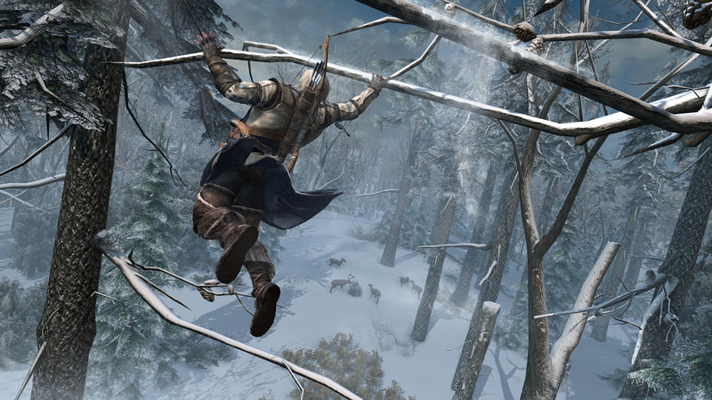 Assassins Creed 3 - screenshot 14