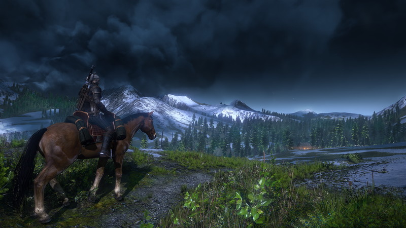 The Witcher 3: Wild Hunt - screenshot 87