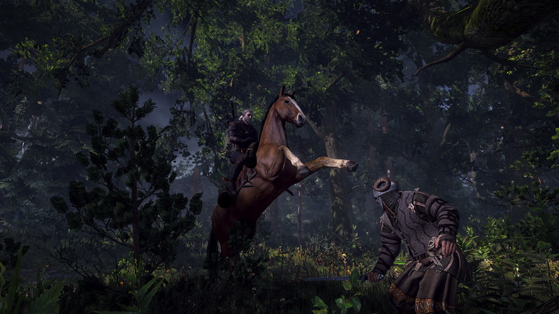 The Witcher 3: Wild Hunt - screenshot 86