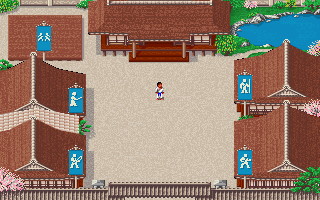 Budokan: The Martial Spirit - screenshot 36