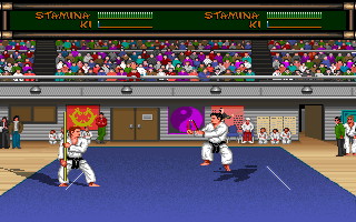 Budokan: The Martial Spirit - screenshot 8