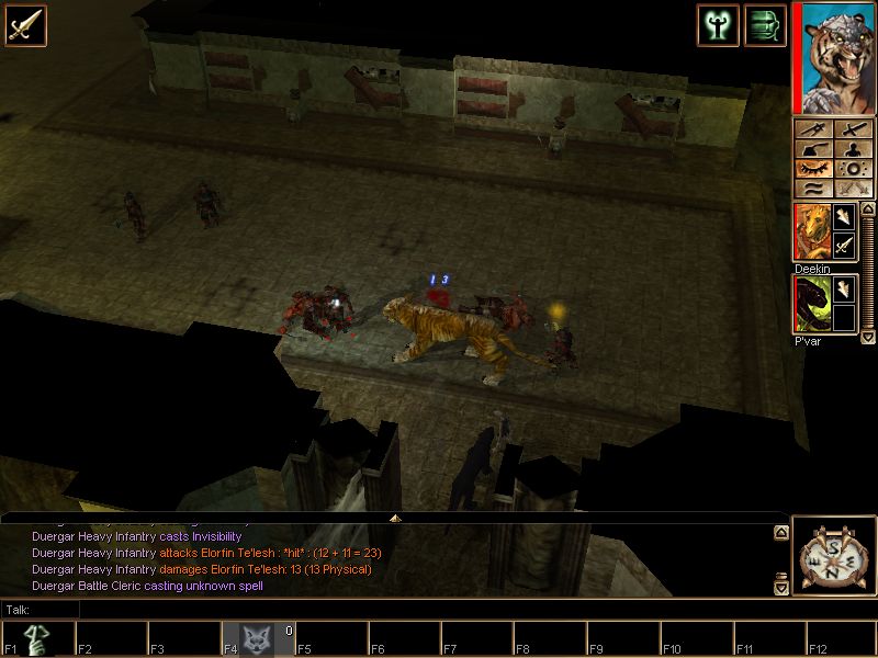Neverwinter Nights: Hordes of the Underdark - screenshot 16
