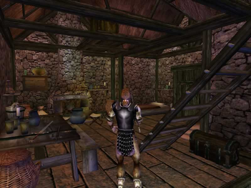 The Elder Scrolls 3: Morrowind - screenshot 54