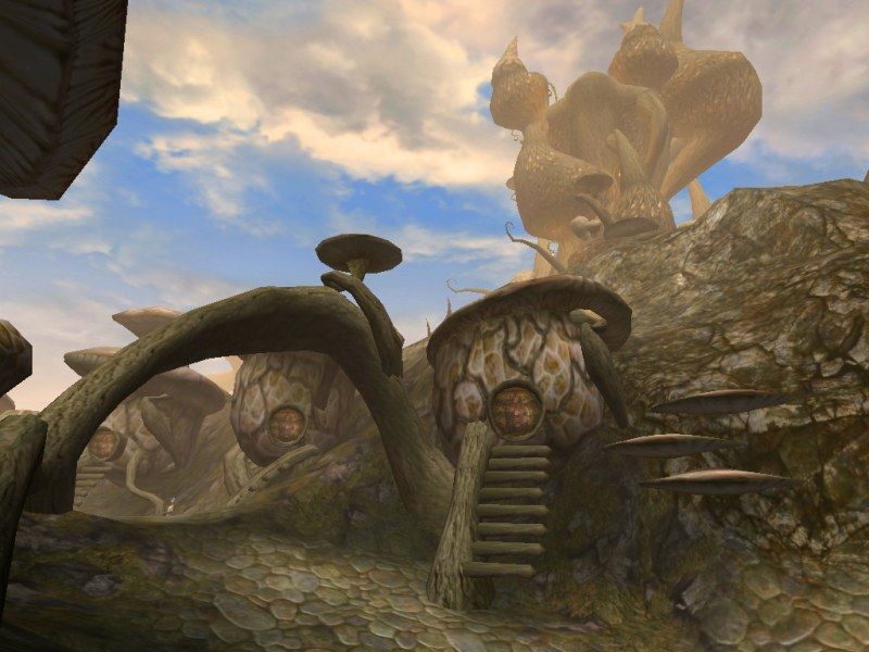 The Elder Scrolls 3: Morrowind - screenshot 15