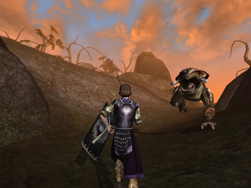 The Elder Scrolls 3: Morrowind - screenshot 12