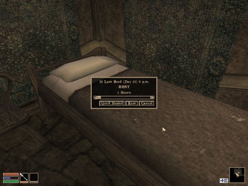 The Elder Scrolls 3: Morrowind - Collector's Edition - screenshot 19