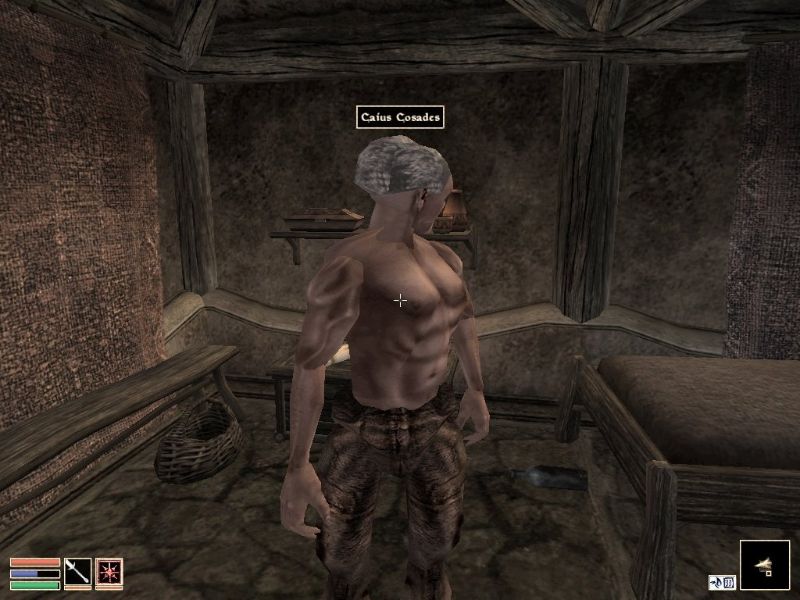 The Elder Scrolls 3: Morrowind - Collector's Edition - screenshot 18
