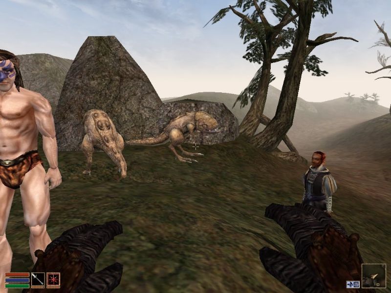 The Elder Scrolls 3: Morrowind - Collector's Edition - screenshot 13