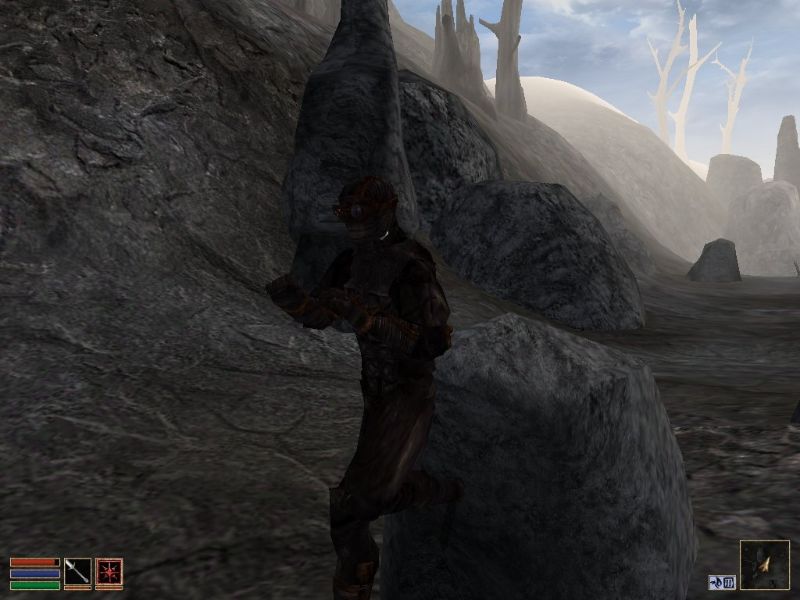 The Elder Scrolls 3: Morrowind - Collector's Edition - screenshot 9