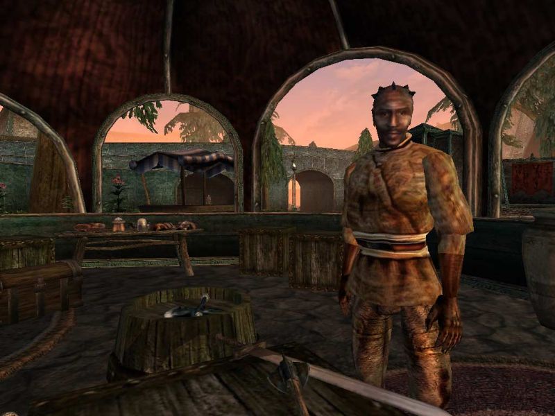 The Elder Scrolls 3: Tribunal - screenshot 2