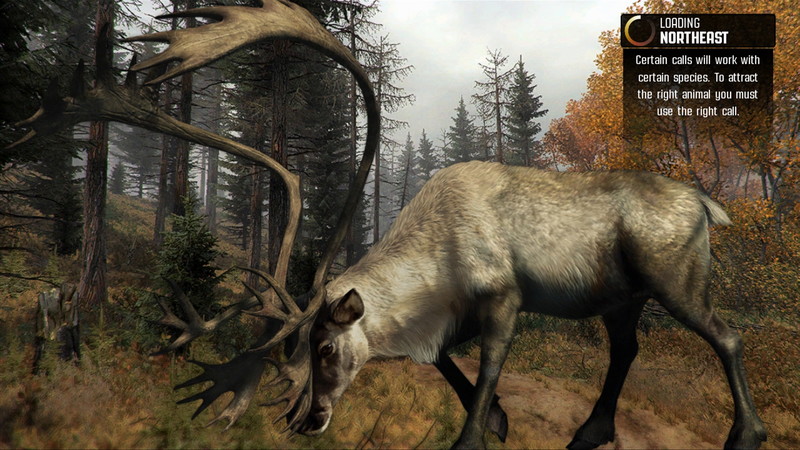 Cabela's Big Game Hunter: Pro Hunts - screenshot 25