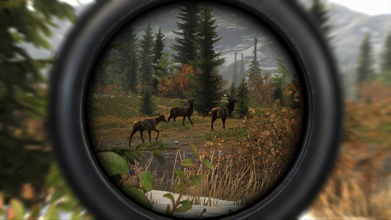 Cabela's Big Game Hunter: Pro Hunts - screenshot 21