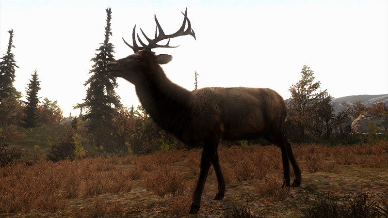 Cabela's Big Game Hunter: Pro Hunts - screenshot 8