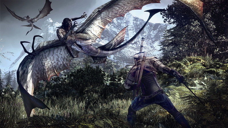 The Witcher 3: Wild Hunt - screenshot 80