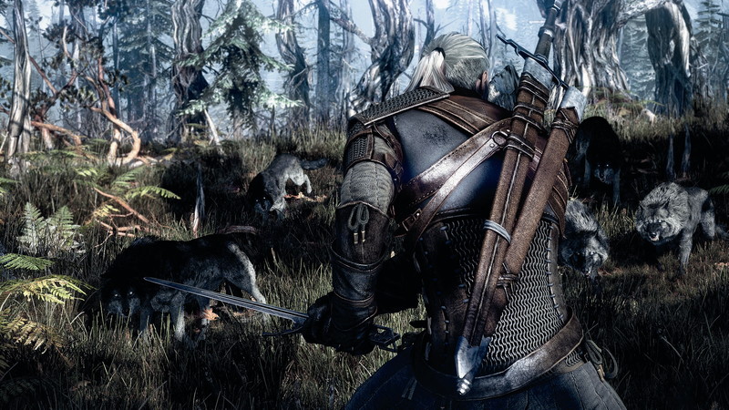 The Witcher 3: Wild Hunt - screenshot 47