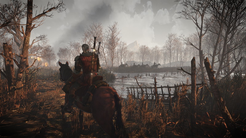 The Witcher 3: Wild Hunt - screenshot 45