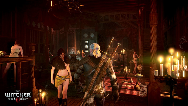 The Witcher 3: Wild Hunt - screenshot 43