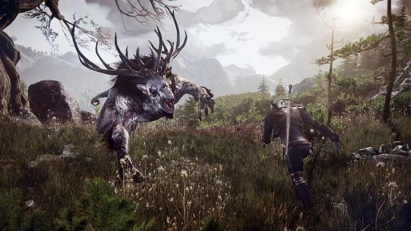 The Witcher 3: Wild Hunt - screenshot 29