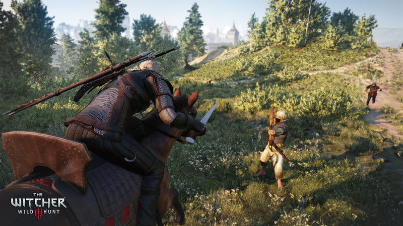 The Witcher 3: Wild Hunt - screenshot 27
