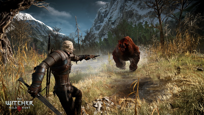 The Witcher 3: Wild Hunt - screenshot 25
