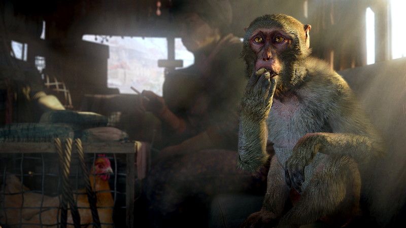 Far Cry 4: Overrun - screenshot 1