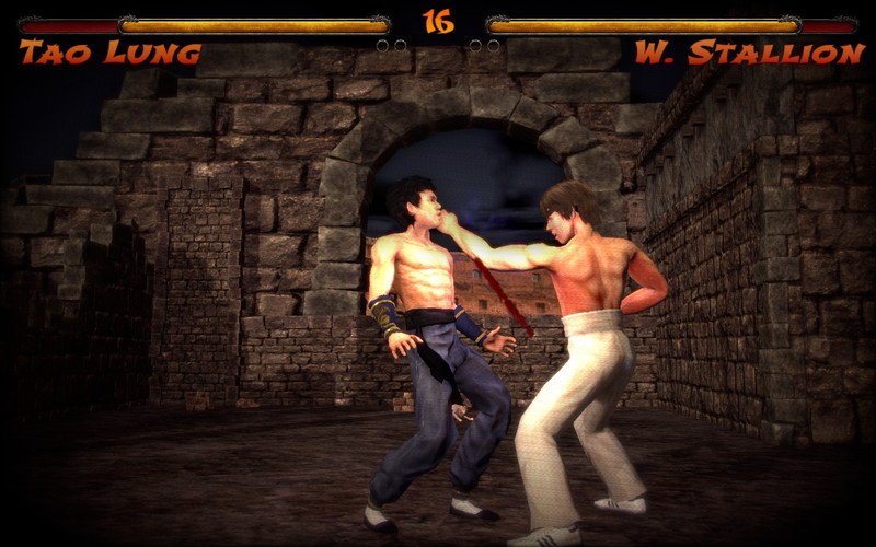 Kings of Kung Fu: Masters of the Art - screenshot 5