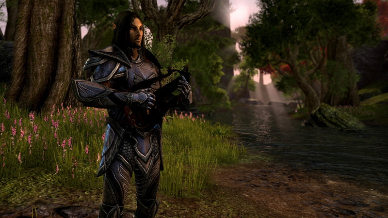 The Elder Scrolls Online: Tamriel Unlimited - screenshot 23