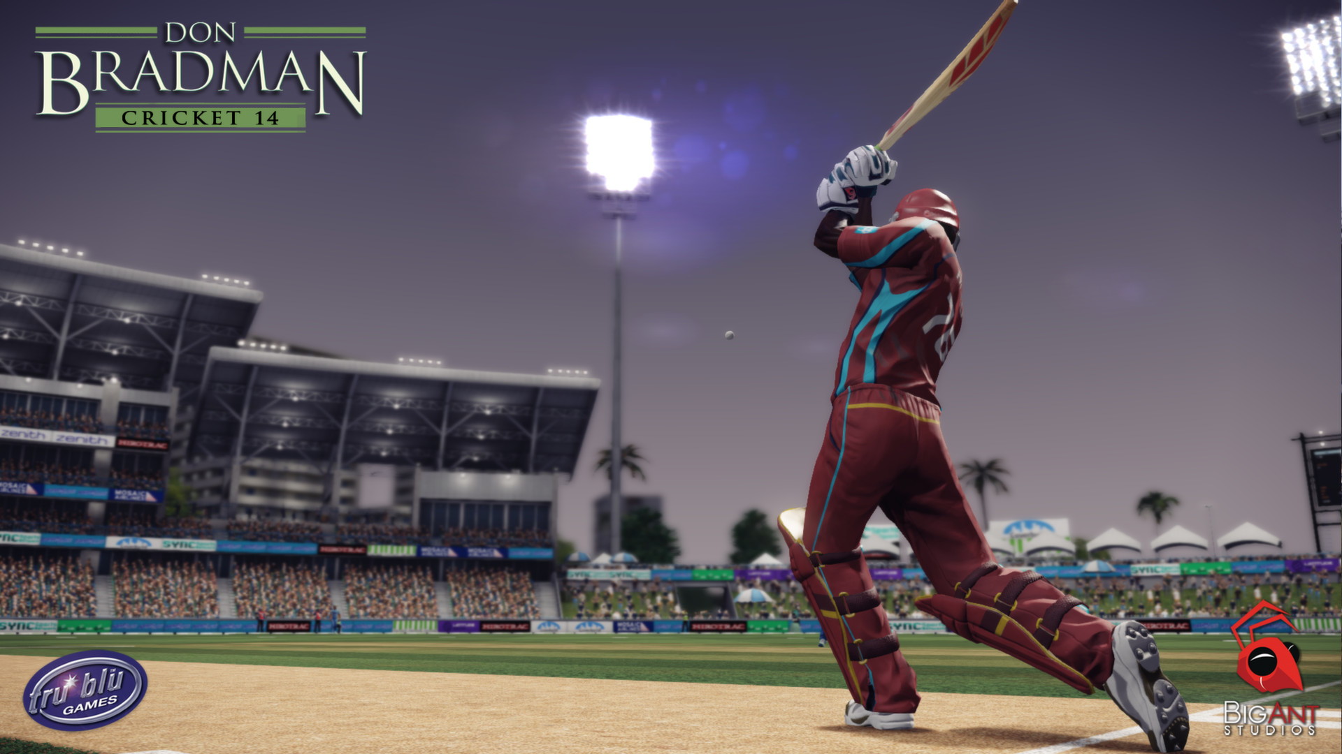 Don Bradman Cricket 14 - screenshot 8