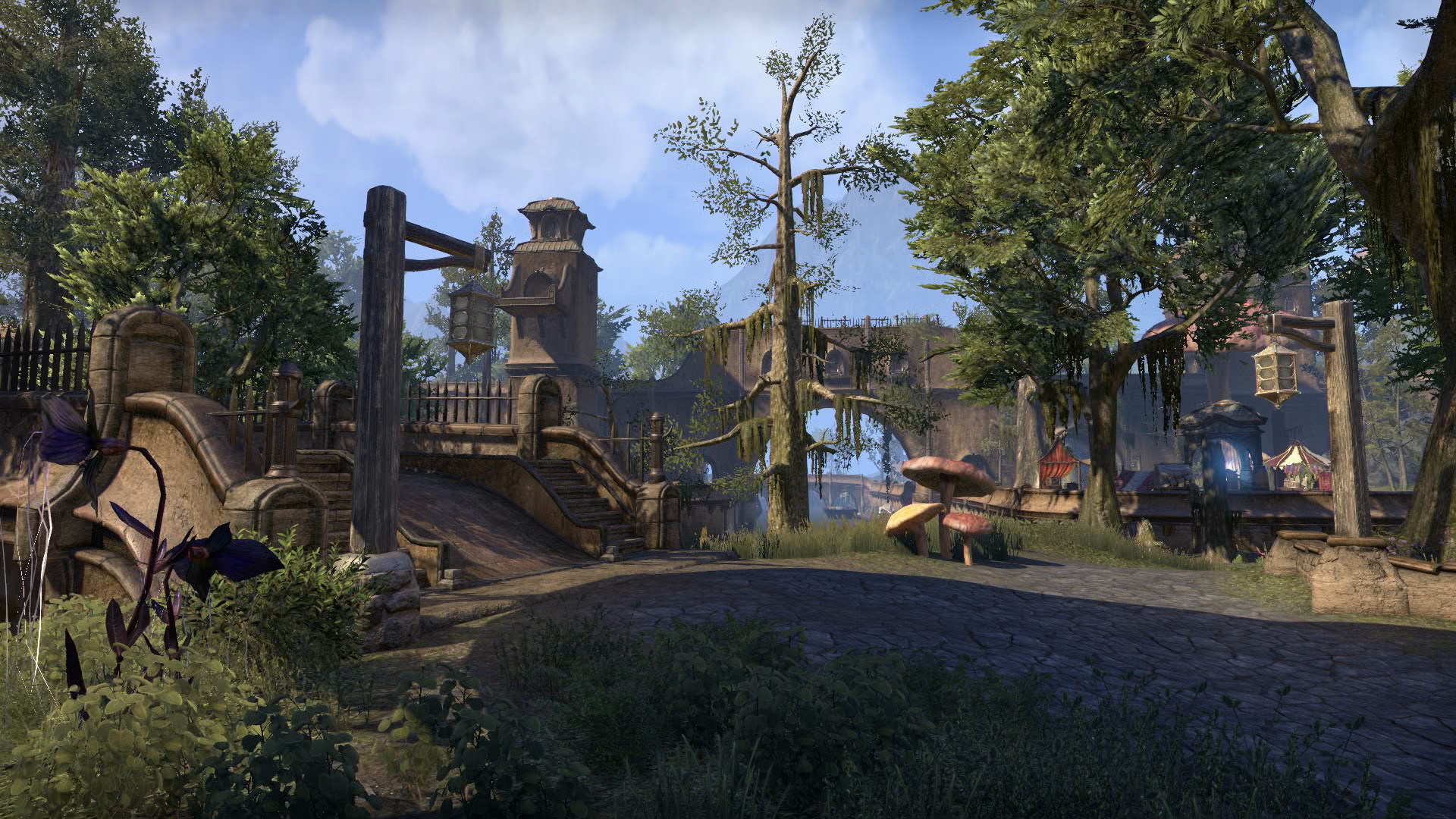 The Elder Scrolls Online: Morrowind - screenshot 4