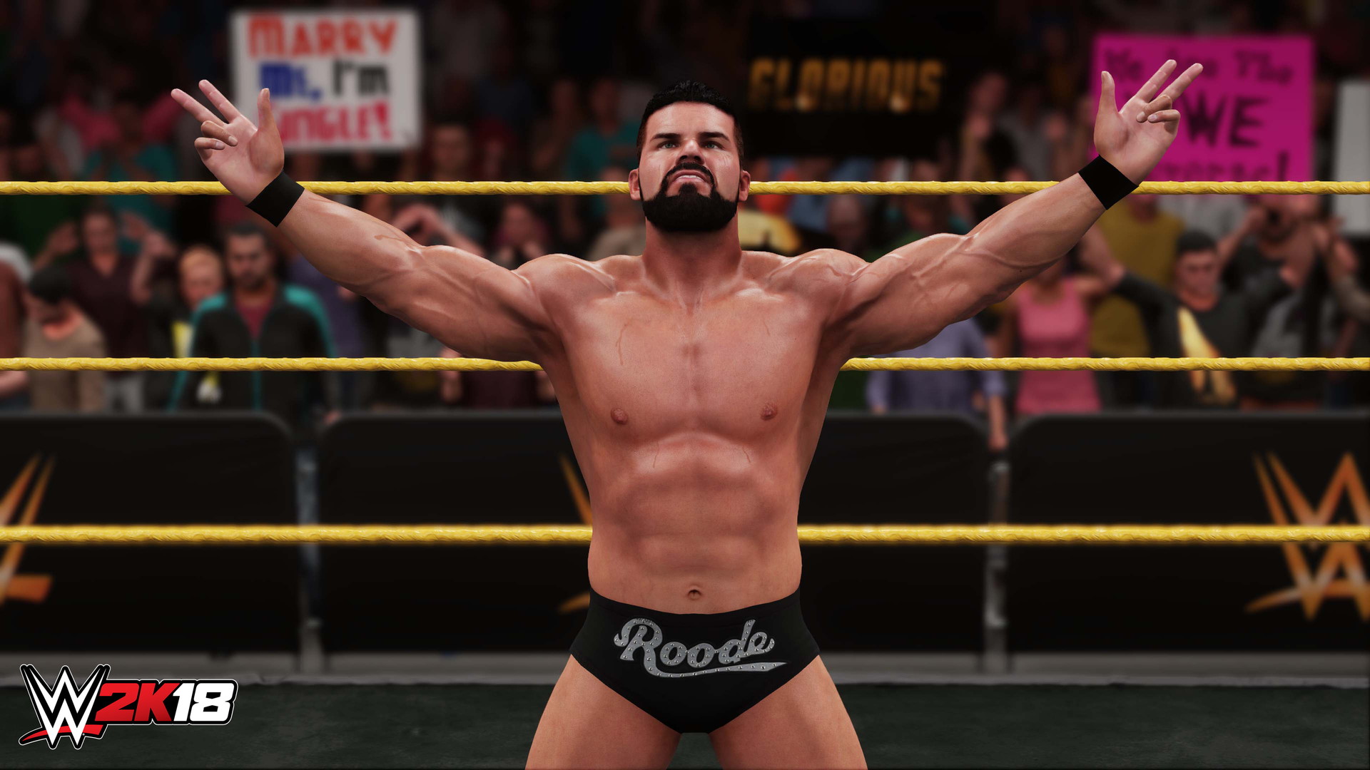 WWE 2K18 - screenshot 31
