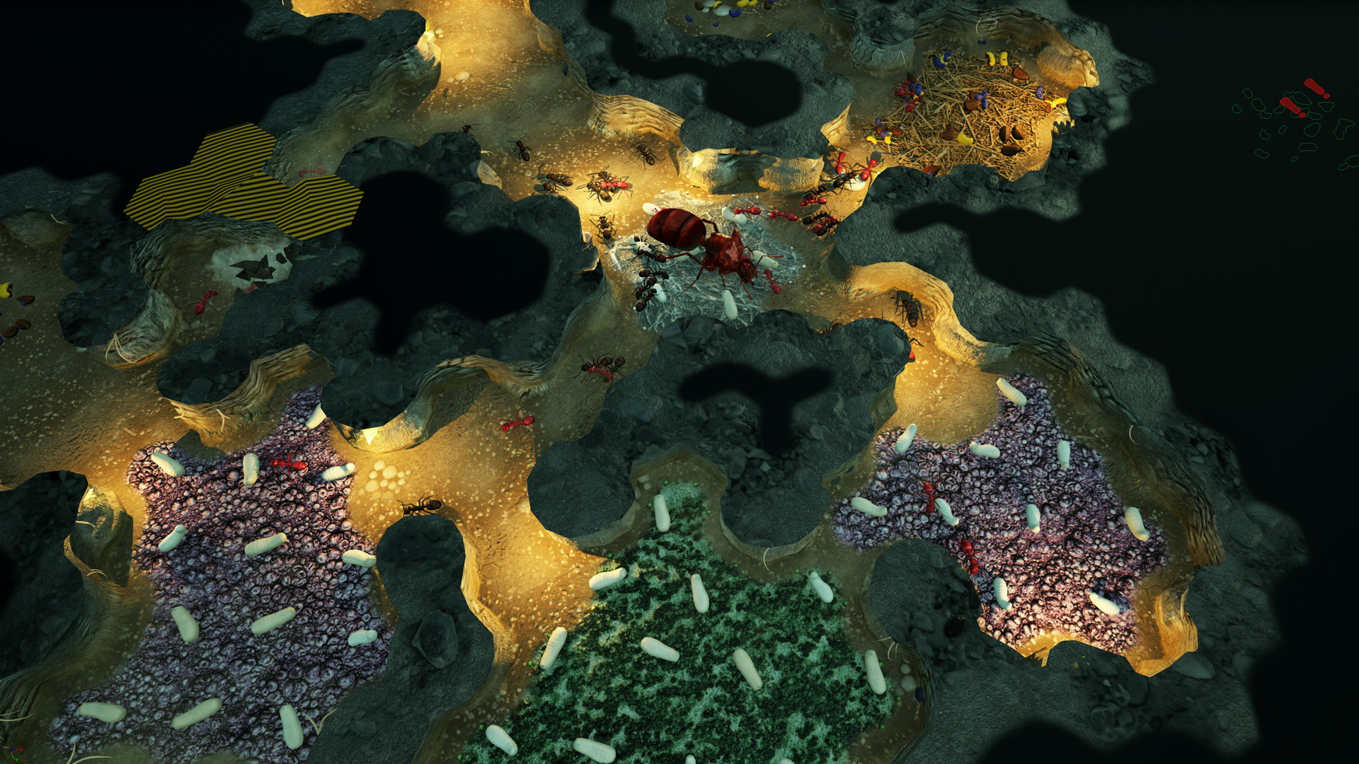 Empires of the Undergrowth - screenshot 4