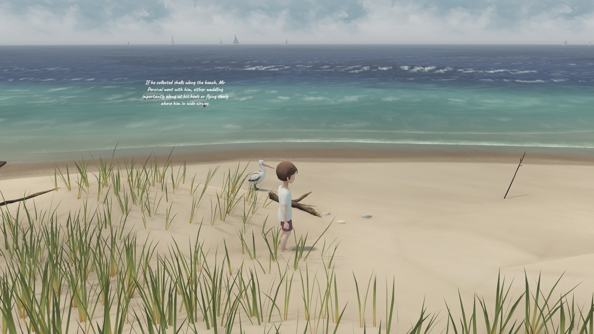 Storm Boy: The Game - screenshot 15