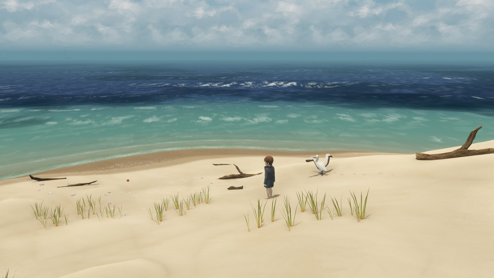 Storm Boy: The Game - screenshot 8
