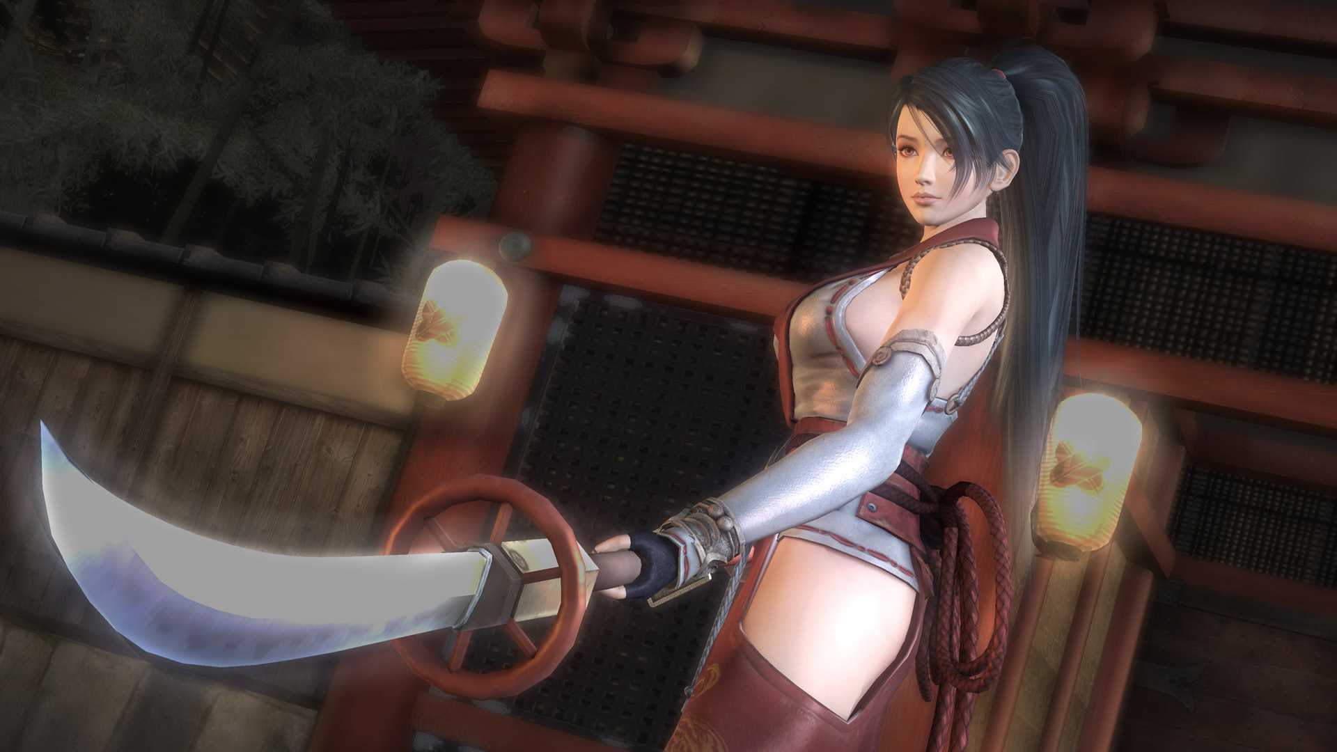 Ninja Gaiden: Master Collection - screenshot 6